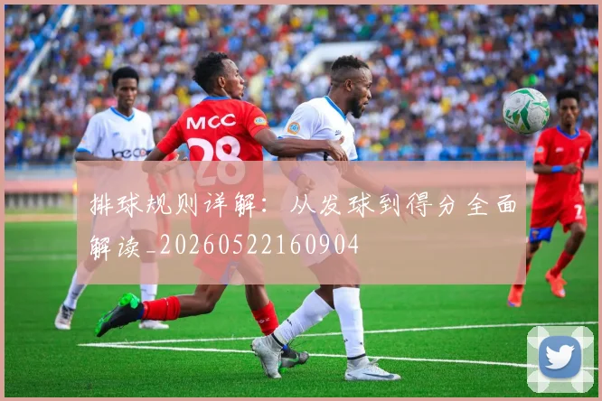 排球规则详解:从发球到得分全面解读_20260522160904